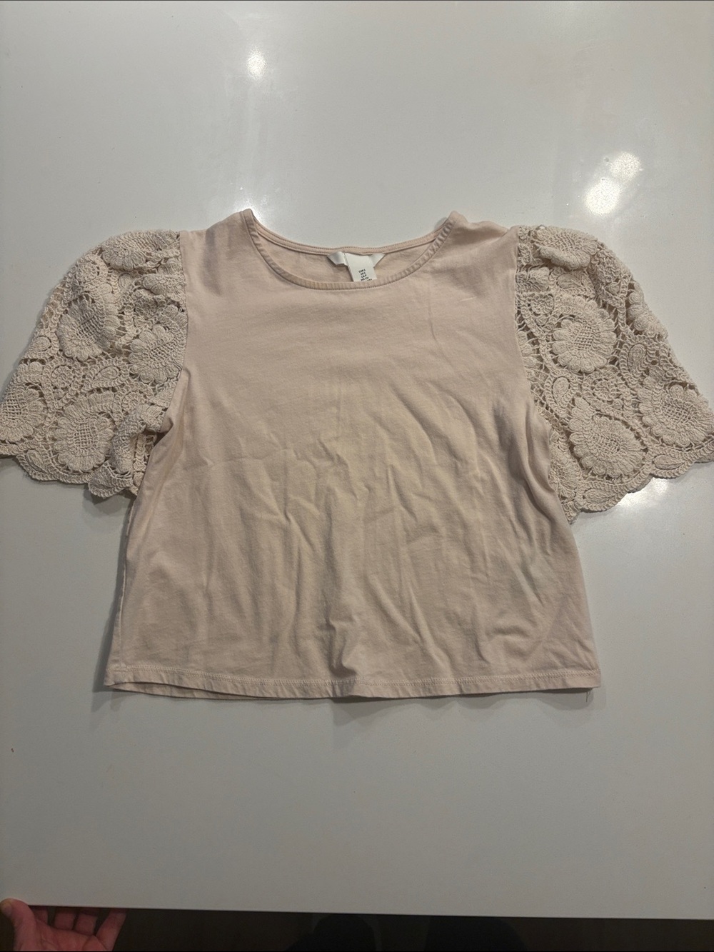 H&M Pale Pink Crochet Sleeve Crop Top